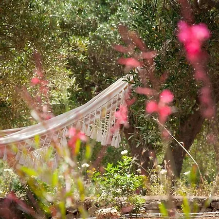 Trulli Moranera Cisternino